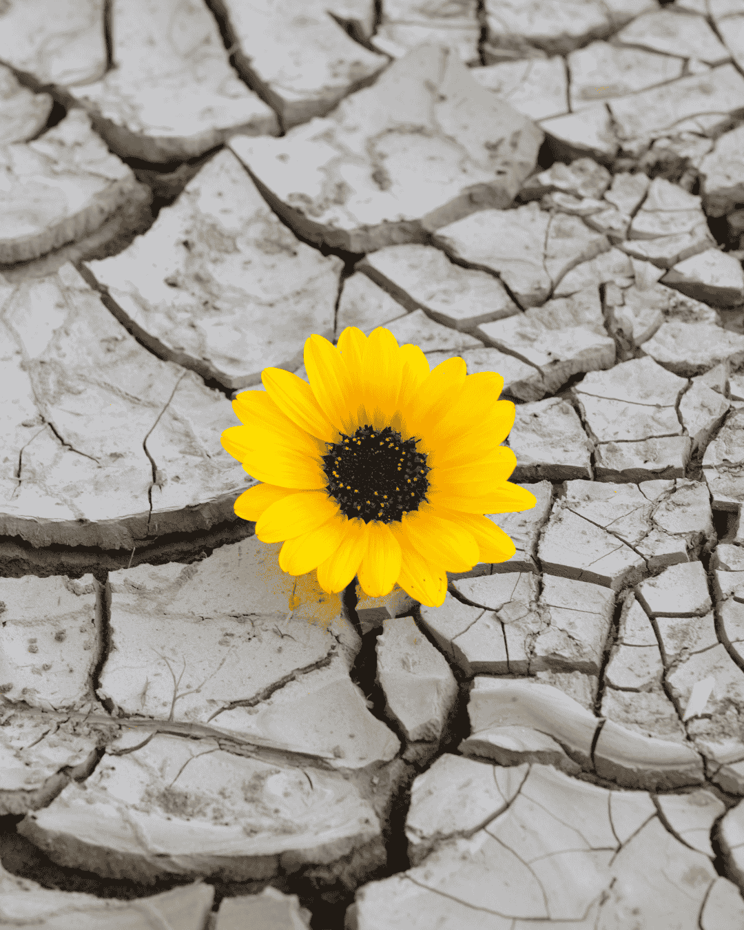 La motivazione non si compra si coltiva e si allena.